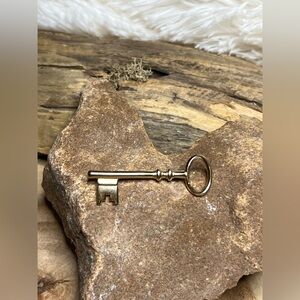 Skeleton key pin